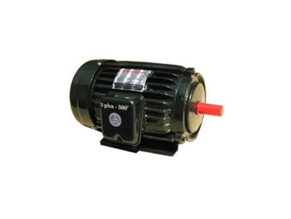 Động cơ điện Tiến Đạt 5HP 3PHA (KN-5/380 Nhanh Tua-2800V/P)