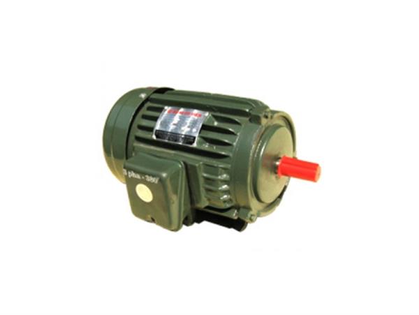 Động cơ điện Tiến Đạt 4HP 3PHA (KN-4/380 Nhanh Tua-2800V/P)