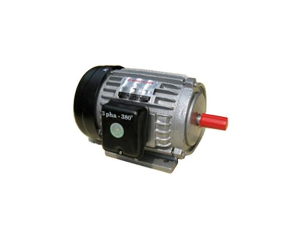 Động cơ điện Tiến Đạt 3HP/380V (KN-3/380 Nhanh Tua-2800V/P)