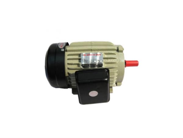 Động cơ điện Tiến Đạt 2.5HP/220V (KN-2,5 Nhanh Tua-2800V/P)